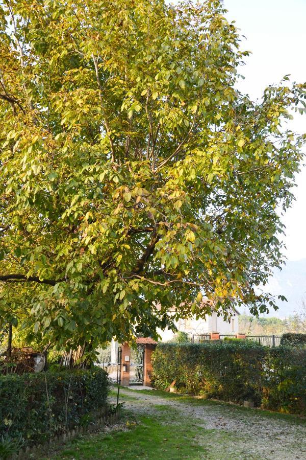 Bed and Breakfast Fable Terni Exterior foto